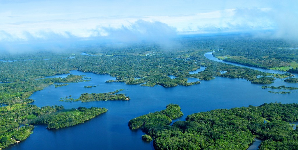 Amazon Rainforest Source Flickr@CIFOR