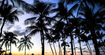 Hawaiian sunset on the beach