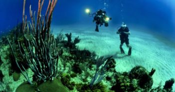 scuba diving - pixabay